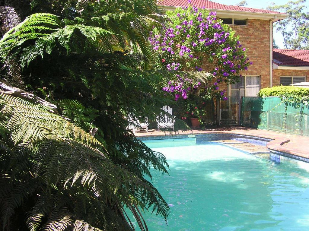 Sapphire Motel Korora Ngoại thất bức ảnh
